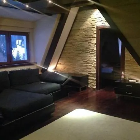 Apartment 111 At Zoned & - 111 U Zoned Kopaonik